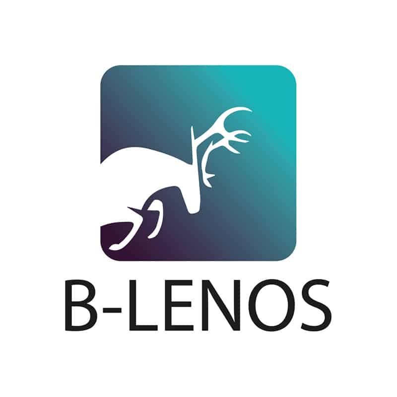 B-Lenos SARL - Logo