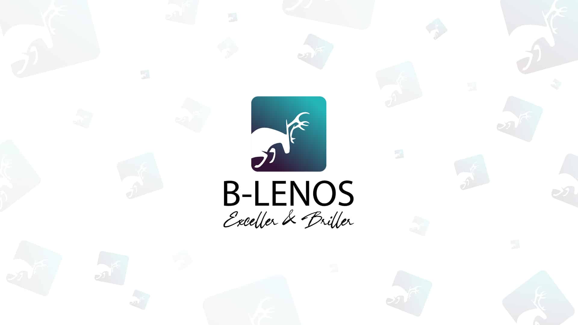 B-Lenos - vignette