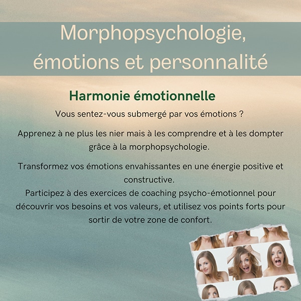 Les Workshops de l'été B-Lenos - émotions et personnalité - Atelier 02