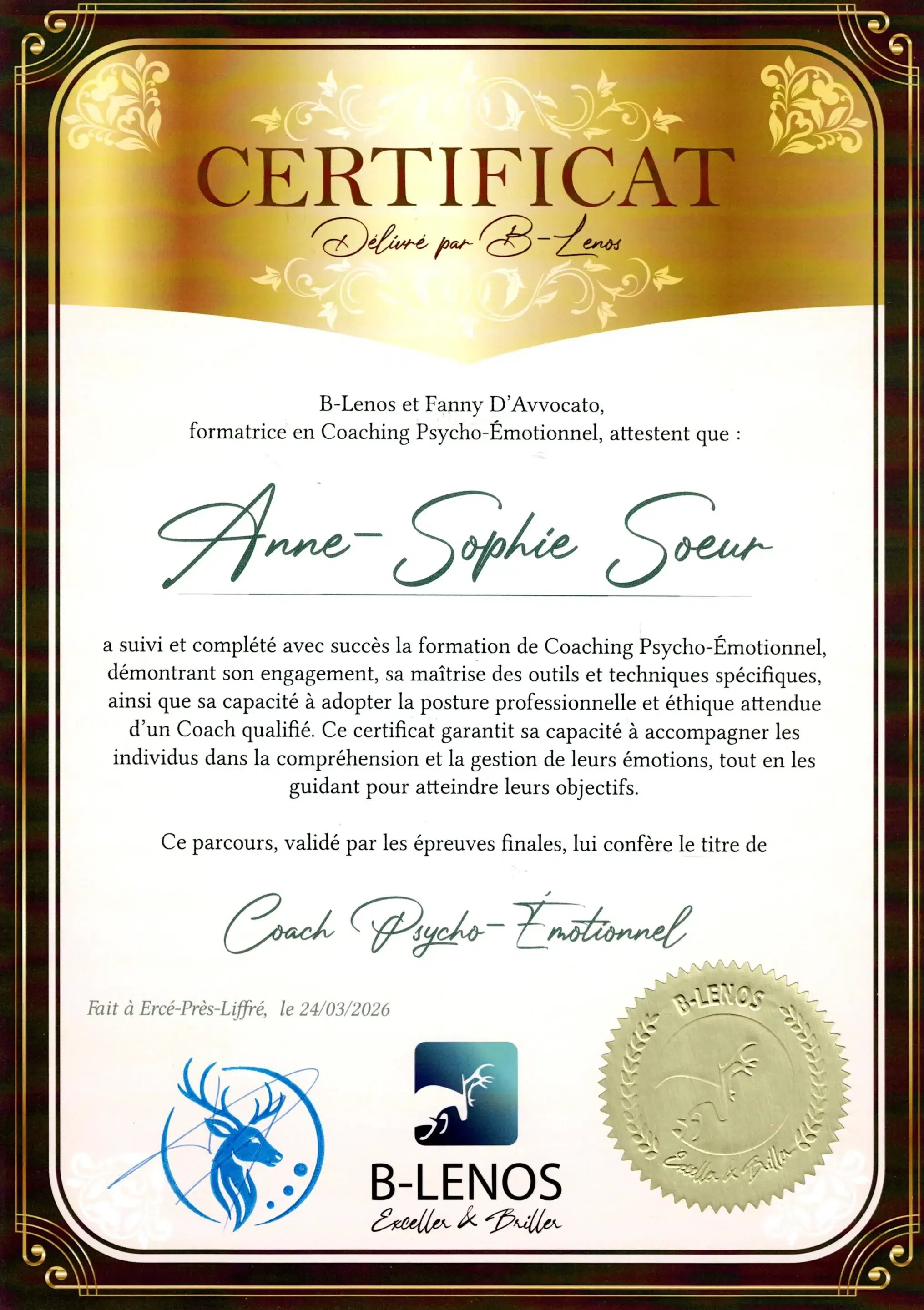 Anne-Sophie Soeur - Coach Psycho-émotionnel - Méthode B-Lenos - BL26-CPE-G350UCCE