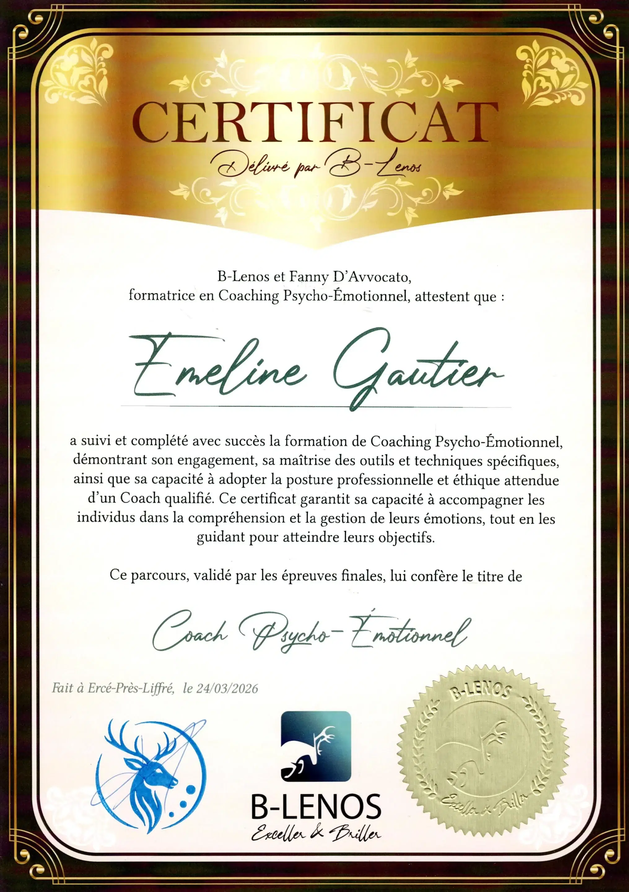 Emeline Gautier - Coach Psycho-émotionnel - Méthode B-Lenos - BL26-CPE-6G52YDIM